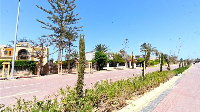 إعداد خريطة استثمارية