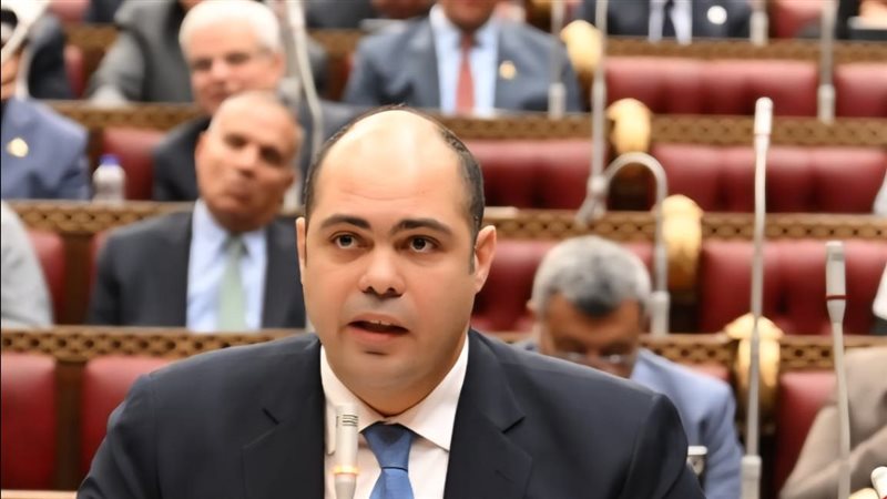 رئيس جهاز حماية المنافسة