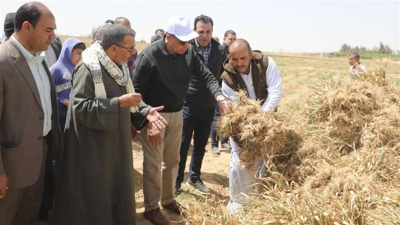 محافظ المنيا