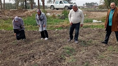 زراعة الفيوم تنظم زيارات ميدانية لمتابعة محصول القطن في طامية وسنورس