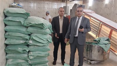 تحرير 205 مخالفات تموينية والتحفظ على 44 شيكارة دقيق مدعم في حملات بالدقهلية 