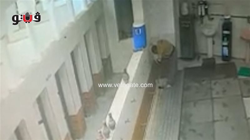  سرقة جميع الحنفيات