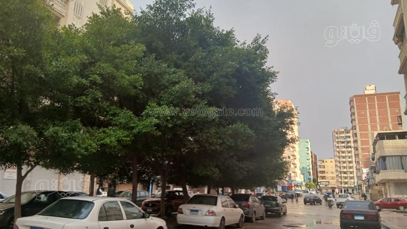 سقوط أمطار متوسطة