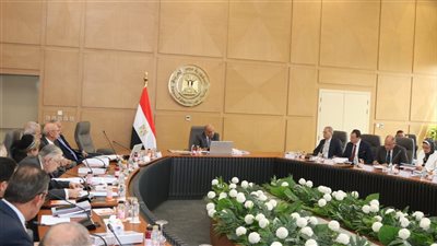 الكهرباء: إنتاج 224.64 مليار كيلووات ساعة لخدمة ما يقرب من 44 مليون مشترك 