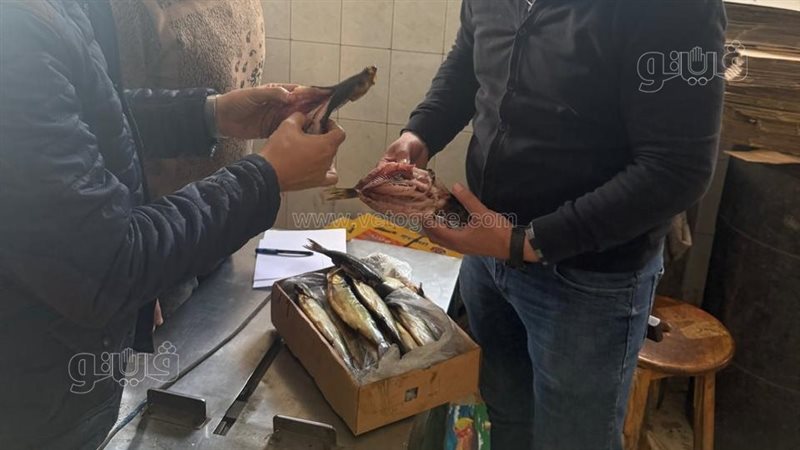  ضبط 3 طن رنجة فاسدة