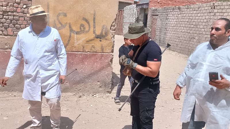 لجنة لتحصين الكلاب