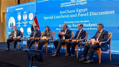 المهندس كريم بدوي: المحفزات وراء تنشيط الاستثمارات البترولية وسداد مستحقات الشركاء الأجانب 