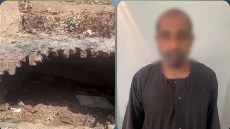 ضبط المتهم، فيتو