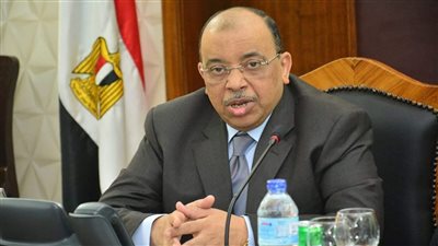 شعراوي: توفير أكثر من 27 ألف فرصة عمل من خلال تنفيذ 3429 مشروعًا