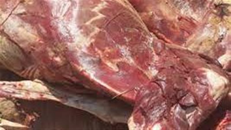 ضبط 11 طن لحوم ودواجن