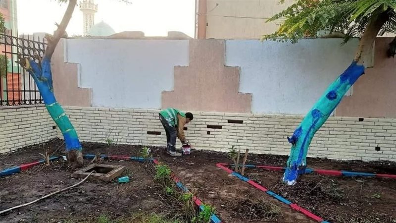  مبادرة شبابية لتزيين