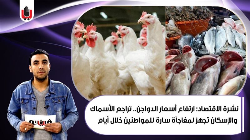 نشرة الإقتصاد