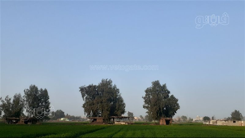 محافظة الغربية 
