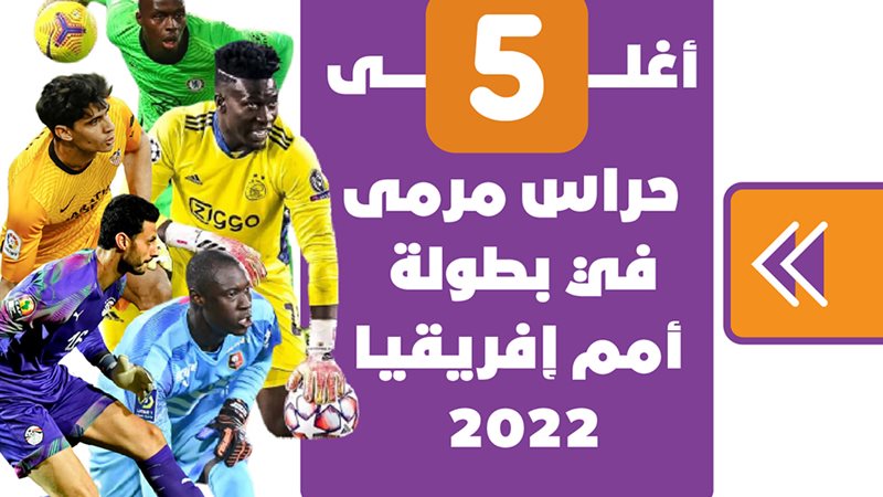 محمد الشناوي