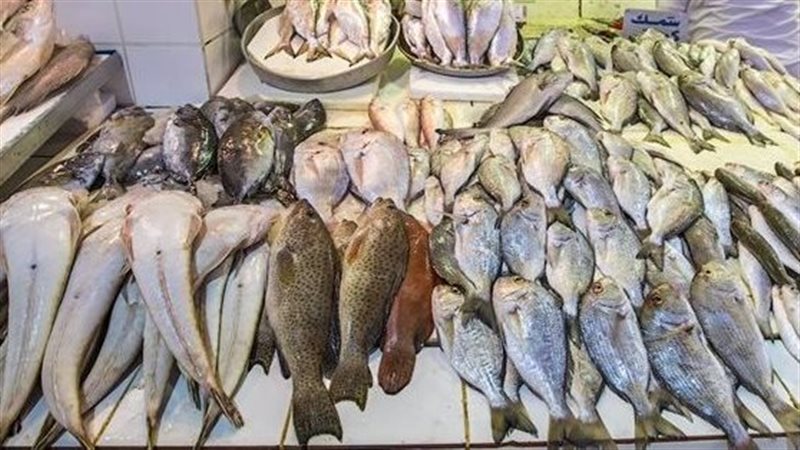 أسعار الأسماك اليوم