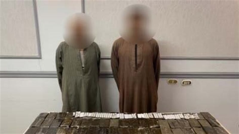 ضبط عناصر إجرامية