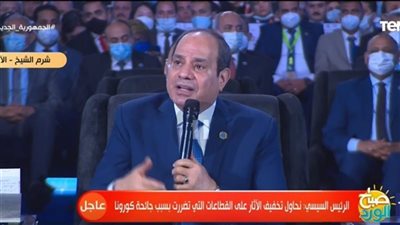 هل فرض صندوق النقد قيودا على مصر؟ السيسي يجيب