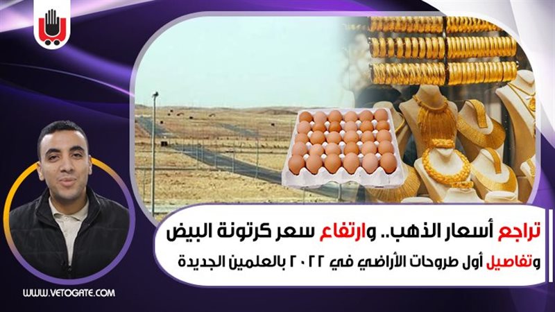نشرة أخبار الاقتصاد