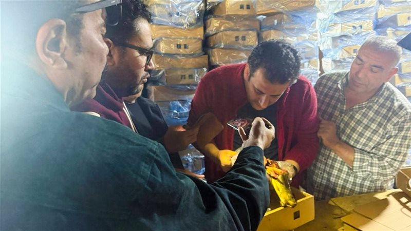 ضبط 4 طن من الرنجة