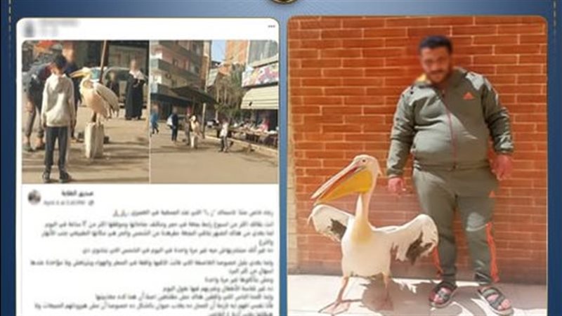 ضبط صاحب محل أسماك