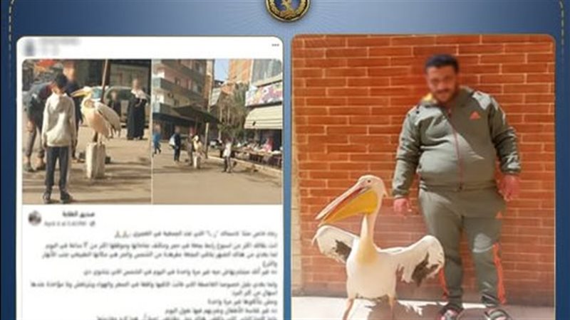 أخبار الحوادث اليوم،