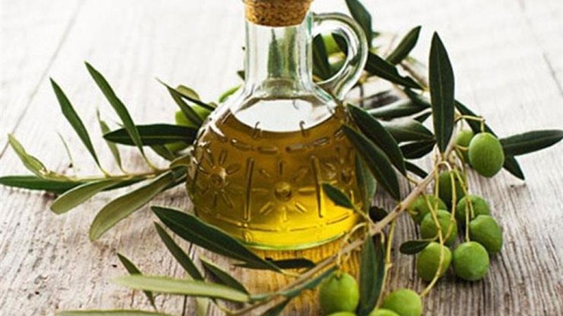 زيت الزيتون 