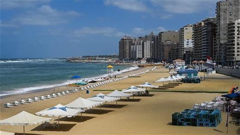 الإسكندرية، فيتو