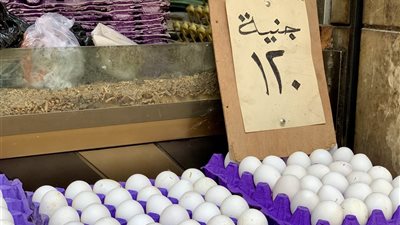 بيض بلا ألوان، شم النسيم يفقد أحد طقوسه في زمن الغلاء