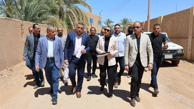 محافظ الوادى الجديد