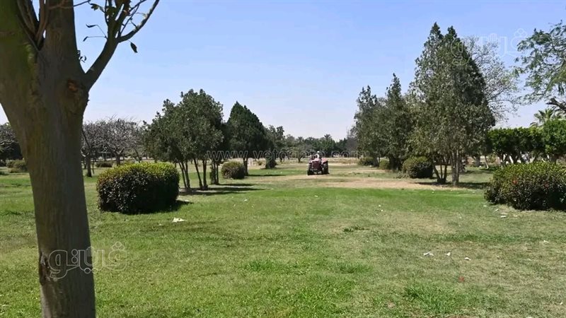 طقس المنيا اليوم