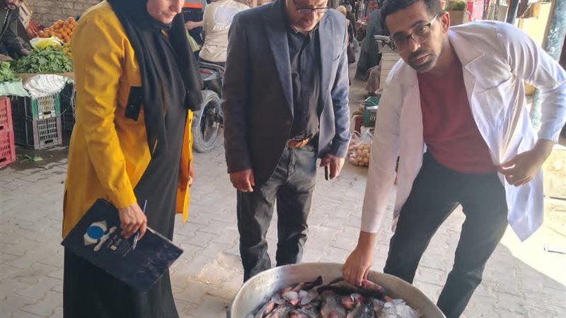 تموين الوادي الجديد،