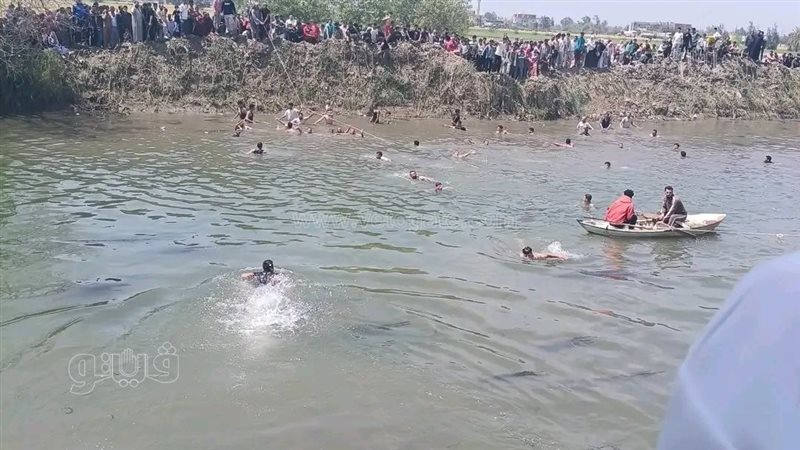 الإنقاذ النهري، فيتو