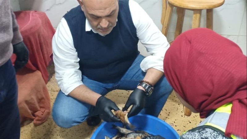 بيطري القليوبية يضبط