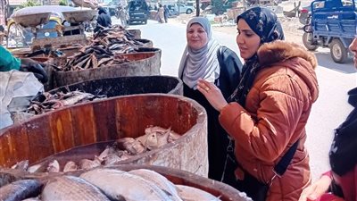 ضبط 582 كيلو أسماك مملحة ولحوم غير صالحة في حملة تموينية بالدقهلية (صور)