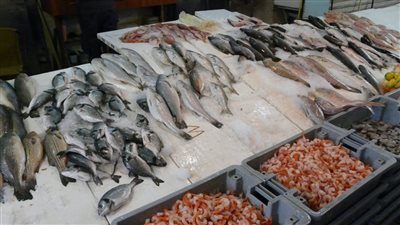 سعر السمك اليوم، البلطي يصالح المصريين بعد قفزة شم النسيم وانخفاض الكابوريا 60 جنيها