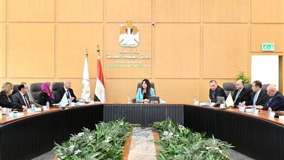 وزيرة الإسكان تستعرض موقف تنفيذ مشروعات المبادرة الرئاسية 