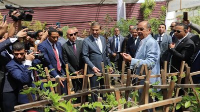 نظافة القاهرة تشارك بـ 12 ألف نبتة في معرض الزهور 