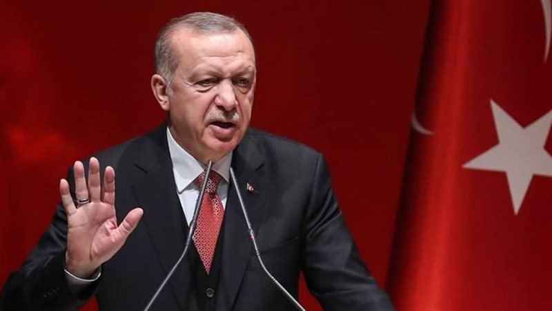 أردوغان، فيتو