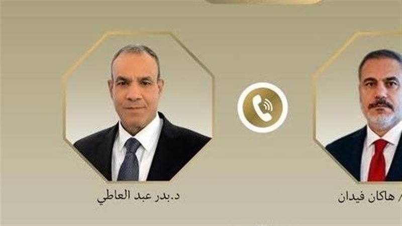 د. بدر عبد العاطي