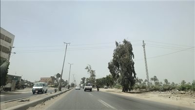طقس متقلب ورياح محملة بالأتربة تضرب الدقهلية (فيديو وصور)