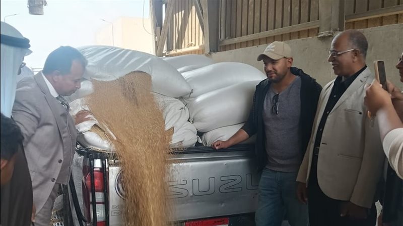 توريد القمح بصوامع