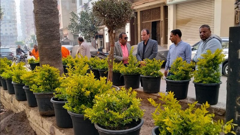 رفع كفاءة الحدائق