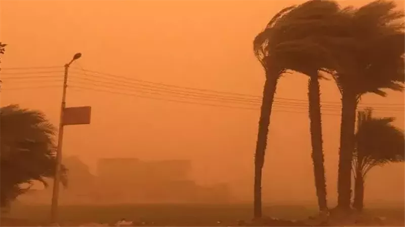 الطقس، فيتو