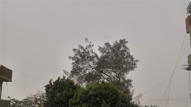 أتربة ورمال بالقليوبية،