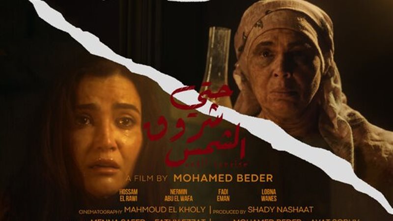 أفلام مهرجان الإسكندرية