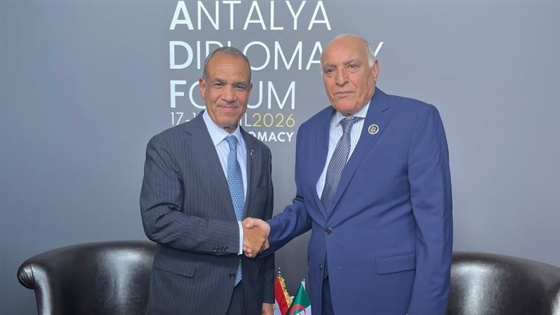 وزير الخارجية ونظيره