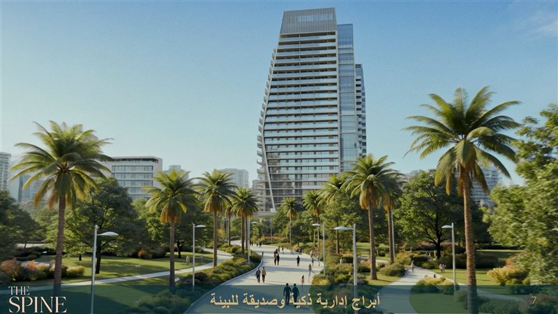 مشروع «ذا سباين»