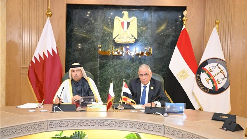 المستشار محمد شوقي،