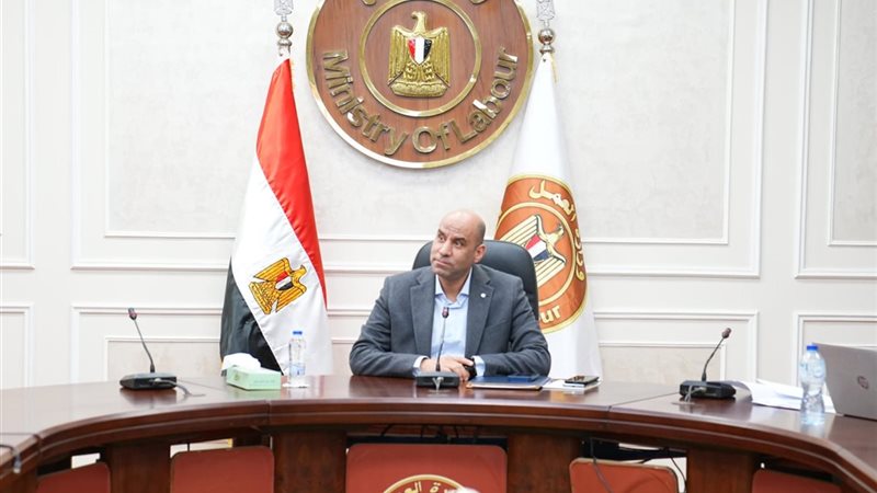 وزارة العمل، فيتو