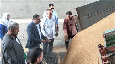 توريد 682 طن قمح بصوامع الدقهلية